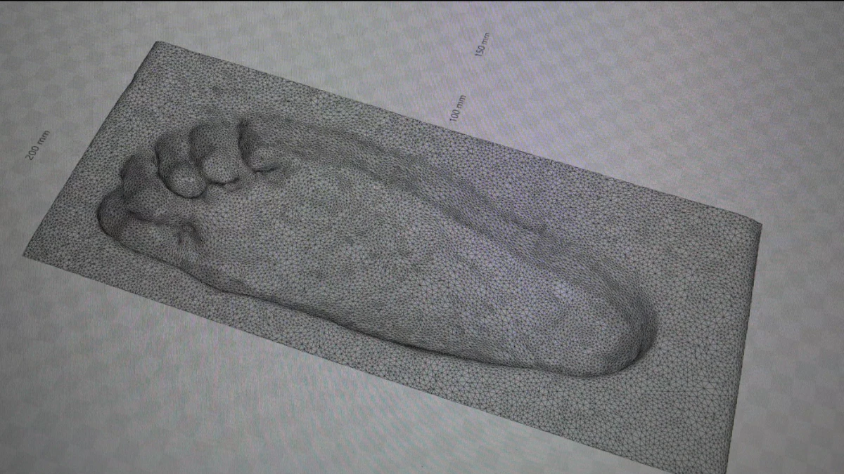 3D model ortopedskih uložaka – digitalni model za izradu individualnih ortopedskih uložaka